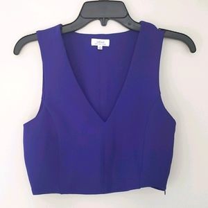 Aritzia Wilfred Dauphine Crop Top
